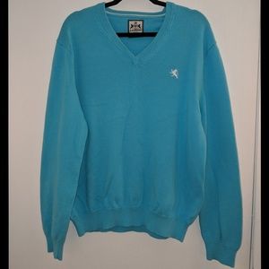 Express V-Neck Sweater